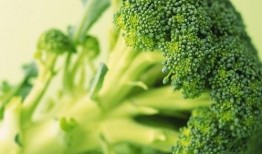 网红西兰花吃瓜,揭秘网红美食背后的故事