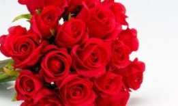 红玫瑰黑玫瑰在线观看,爱恨交织的复仇传奇